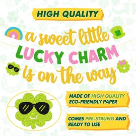 St. Patrick Day Decoration A Sweet Little Lucky Charm is on The Way Banner Baby Shower Decor Lucky Gender Reveal Party Supplies