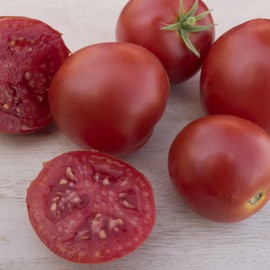 Moskvich Tomato Seeds - 1 Oz ~6800 Seeds - Non-GMO, Heirloom - Vegetable Garden - Solanum lycopersicum