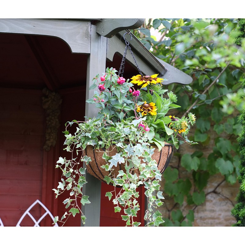 Smart Hanging Basket 12", Multi-Colour, JNS_461641