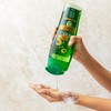 Vatika Naturals Avocado Oil Shampoo - 425ml | Protein Boost