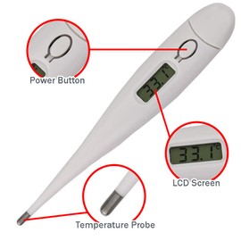 Pet Thermometer For Animal Owners of Dogs Cats Horses Vets Fixed Head Digital Temperature Probe Includes Veterinary Hobdays Chart