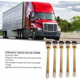 C-HORSE 10 PCS TR574 of 5" Tubeless Tire Truck Valve Stem Brass Clamp-in