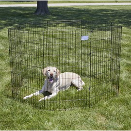 MidWest Homes for Pets Folding Metal Exercise Pen