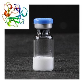 Basic Fibroblast Growth Factor Powder - bFGF Freeze-Dried Powder Cosmetic Grade for Skin Anti-Aging, 1Milligrams, 1000000IU, 98% Purity (2mg)