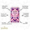 Pukka Herbs - Organic Herbal Tea Elderberry & Echinacea with