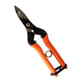 Cactus Garden Scissors, Peeling Shears No.AG-19
