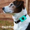 Dapper Dog Pet Tag Silencer and AirTag Holder (Teal with