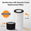 Crane Genuine Air Purifier Replacement Filter For Model EE-5068, HS-1946