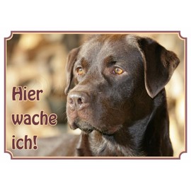 Labrador Retriever Dog Sign - Weatherproof Premium Metal Sign, DIN A4