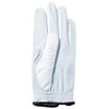 Kasco Golf Gloves, Men's RR-1323, Right Handed, White/Blue, 24