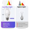 DALUXshop Amber Sleep Light Bulbs, Blue Light Blocking, A19 9W(60