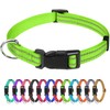TagME Nylon Dog Collar, Adjustable Reflective Dog Collar with Safety