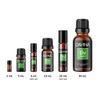 Rosemary Pure Essential Oil 10ml by Davina