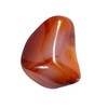 The Chrysalis Stone The Chrysalis Stone | Carnelian | Tumbled