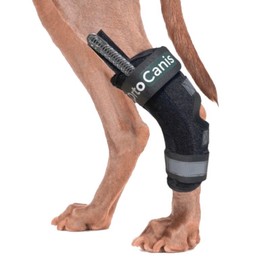 Ortocanis Hock splint brace for dogs- immobilises, protects, supports the ankle - removable flexible splints.