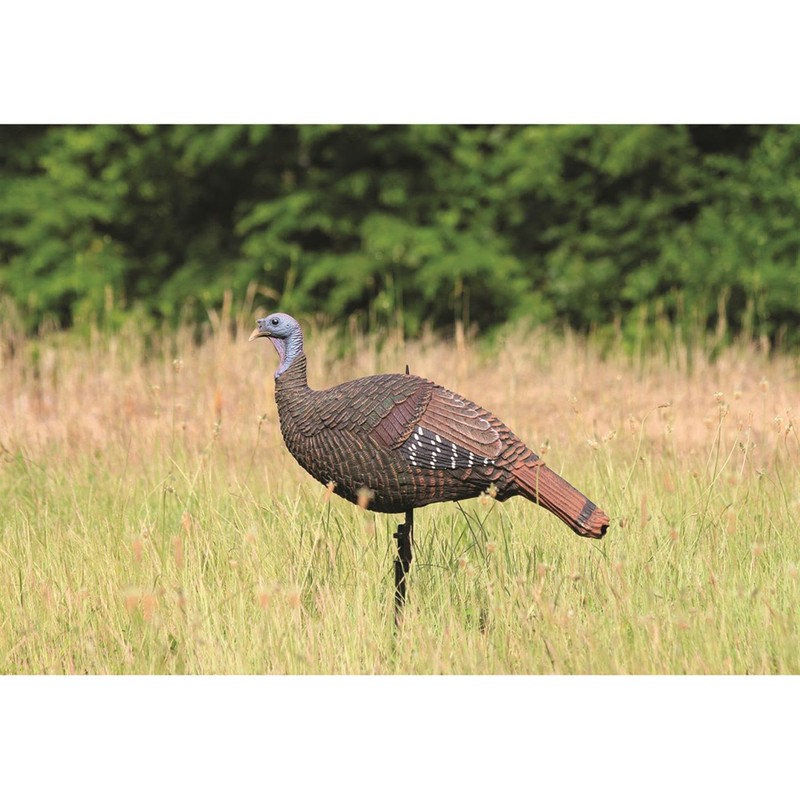 M.A.D MD-700 Shady Baby Upright