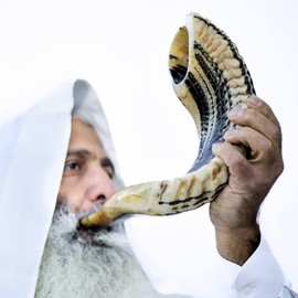 Holy Voice Kosher Ram Shofar Horn from Israel Traditional Half Polished, Holy Land Ancient Jewish Musical Instrument, Smooth Mouthpiece for Easy Blowing, Clear Sound Shofar (18"-20")