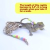 Adjustable Reptile Training Lead Harness Leash Nylon Rope for lizard