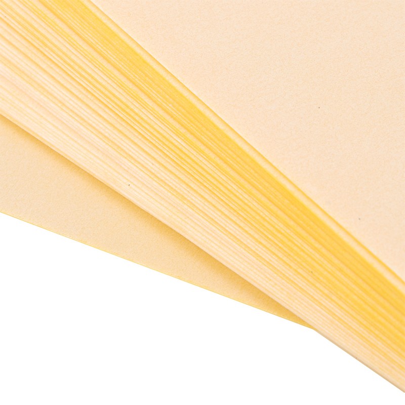 50Pcs Double Sided Insect Yellow Catching Board Sticky Flying Insect