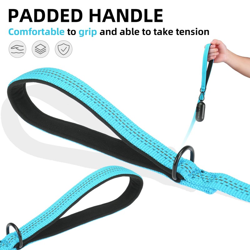 PUPTECK Reflective Dog Leash with Comfortable Padded Handle Durable Nylon