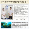 ワンちゃんの腸活＆免疫ケア！マリウェル【海藻・納豆・乳酸菌・ビール酵母配合】正規品｜皮膚・毛並み・高齢犬サポート【犬用サプリ】Mariwell 腸内フローラを整え便秘にも アスコフィラムノドサム
