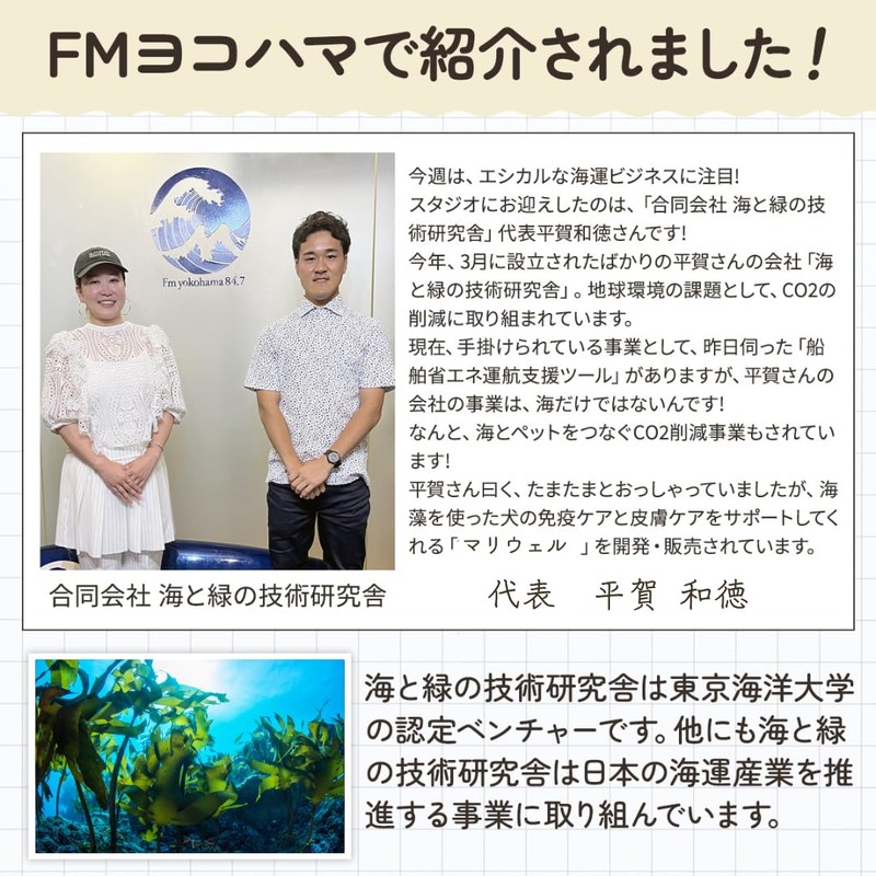 ワンちゃんの腸活＆免疫ケア！マリウェル【海藻・納豆・乳酸菌・ビール酵母配合】正規品｜皮膚・毛並み・高齢犬サポート【犬用サプリ】Mariwell 腸内フローラを整え便秘にも アスコフィラムノドサム