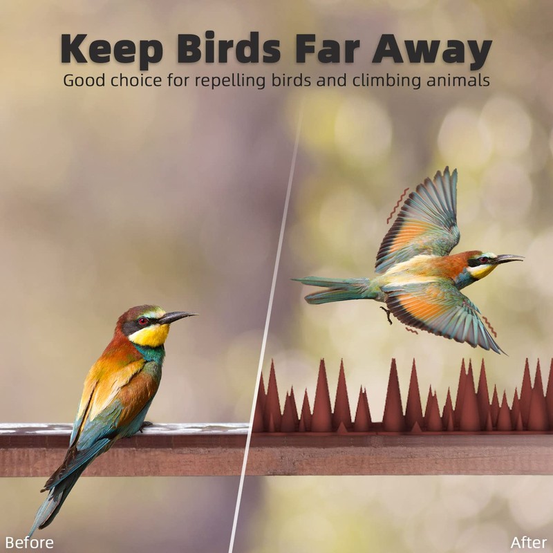 Bird Spike Strips for Outdoor Surfaces with Adhesive Strips (8,