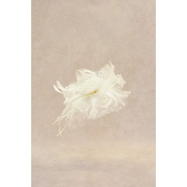 BABEYOND Fascinator Hats for Women Tea Party Hat Kentucky Fascinators Headband Derby Hats Wedding Flower Feathers Hair Clip Beige