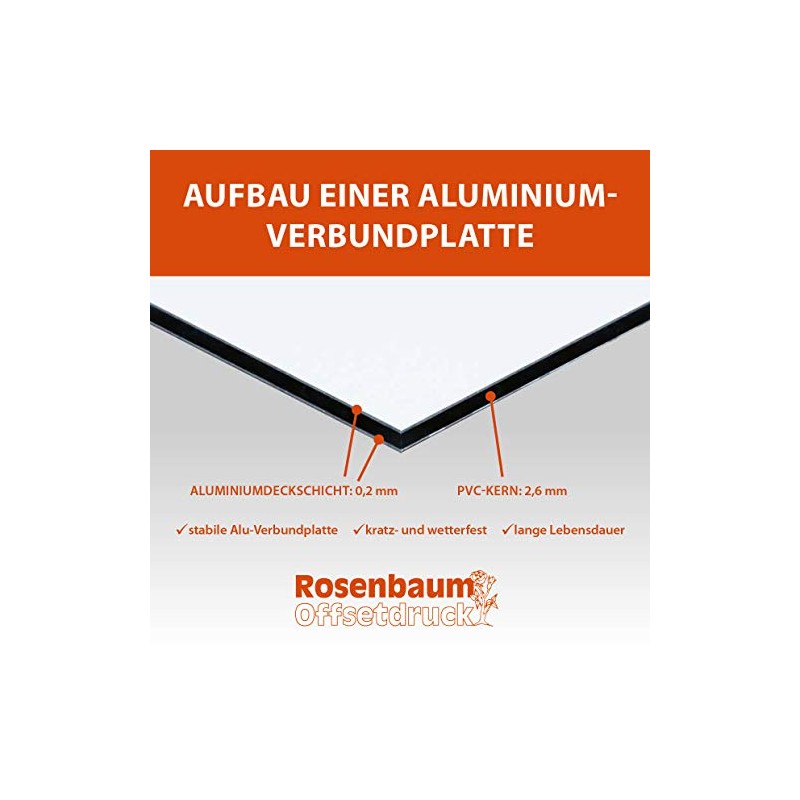 Surveillance Sign | 30 x 20 cm | "Dieser Bereich