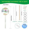 13 oz Up 2 Weeks Large Plant Watering Globes -