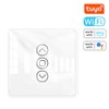 Tuya Wifi Intelligent Curtain Switch Arc Glass Touched Screen Curtain