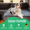 petpurry® Waterproof Dog Blanket, 73 x 101 cm, M/Grey, Fluffy