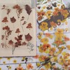PET Scrapbook Stickers, DIY Decorative Products (Apricot Yellow)