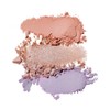RISKY Pigment Eyeshadow Palette (8 Options) - Dim Berry