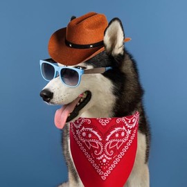 Petta Cowboy Costumes for Dogs & Puppies, Cowboy Hat with Scarf PD602-2