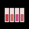 Adenaruce Moist, Clear, Vitality Filling Lip Tint, 4 Types, 5g / 아데나루체 촉촉 맑은 생기 충전 립틴트 4종 5g
