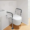 GreenChief Toilet Safety Rail, Medical Bathroom Safety Frame for Elderly,