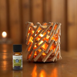 Boudushop Calorya-Diffusor mit Wärme, weich