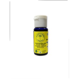 Corsican Helichrysum Oil (Immortelle Oil) 15ml, Ready to use, Flower-Rich macerate enrich w/Organic Helichrysum Italicum Essential Oil.