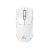 Rampage Prote M5 Wireless & Wired Gaming Mouse – 24000