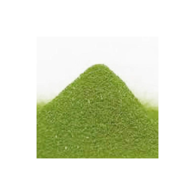 【農薬・化学肥料不使用（JAS認定）】沖縄県産有機モリンガパウダー（30g×3袋）