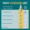The Healthy Dog Co - Natural Wormwood for Dog Worming