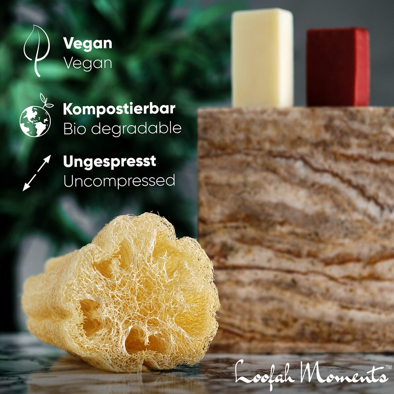 Loofah Moments Loofah Sponge | Your Bath Sponge for Healthy