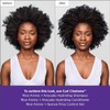 Curl Charisma Rice Amino Plus Avocado Hydrating Shampoo by Briogeo
