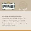 Proraso Bálsamo para Barba Madera y Especias