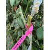 HAINANSTRY Grafting Tape 2 PCS, Stretchable Garden Grafting Tape Plants