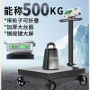 택배저울 체중계 전자저울 농산물 측정기 50kg 60kg [R. 300KG 듀얼