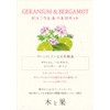 Harukado Wood and Fruit Deodorizing Clip, Geranium & Bergamot, Car