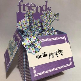 3D Pop Up Box Dies for Card Making Label Tags Metal Cutting Dies for Paper Crafting DIY Scrapbooking Handmade Crafts Projects Scrapbooking Supplies Embossing Stencil Die Cuts Punch Template Mold Knief