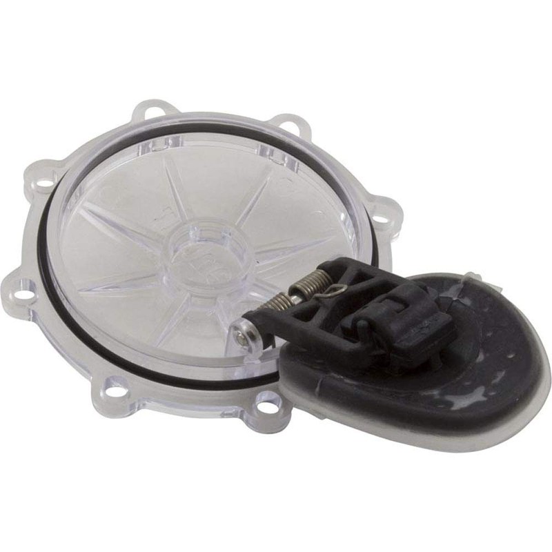 Pentair 263042Z 2-Inch 2-Way CPVC Check Valve Replacement Kit Diverter